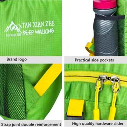 منظم المقعد الخلفي للسيارة