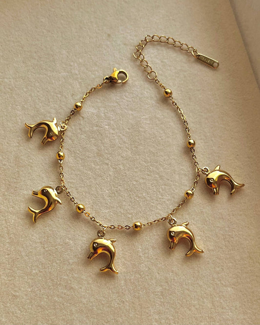 انسيال ستالس شيك اوى