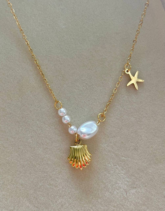 سلسلة صدفة البحر الأنيقة