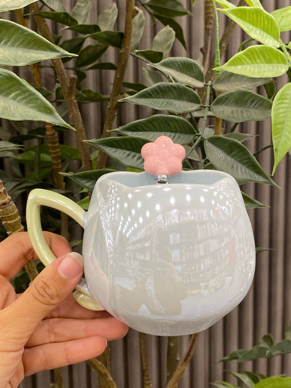 كوليكشن مجات بورسلين شي إن