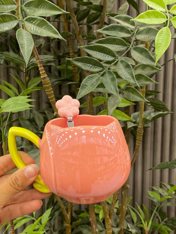 كوليكشن مجات بورسلين شي إن